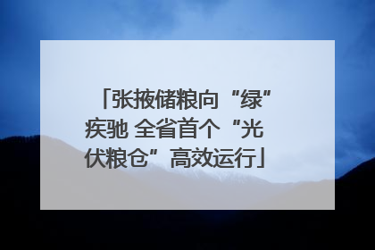 张掖储粮向“绿”疾驰 全省首个“光伏粮仓”高效运行