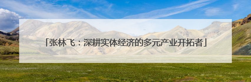 张林飞：深耕实体经济的多元产业开拓者