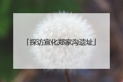 探访宣化郑家沟遗址