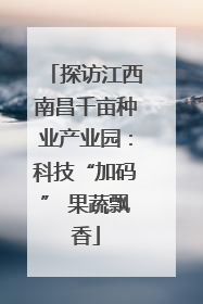 探访江西南昌千亩种业产业园：科技“加码” 果蔬飘香