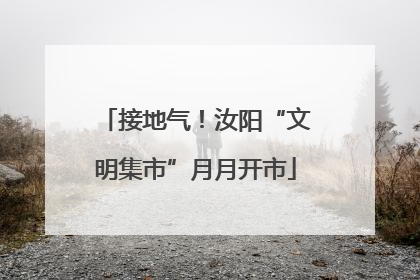 接地气！汝阳“文明集市”月月开市