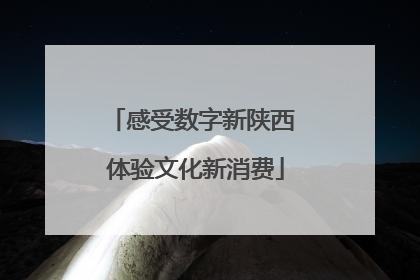 感受数字新陕西 体验文化新消费