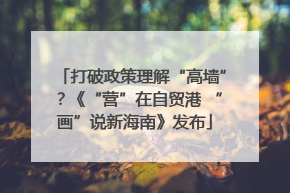 打破政策理解“高墙”？《“营”在自贸港 “画”说新海南》发布