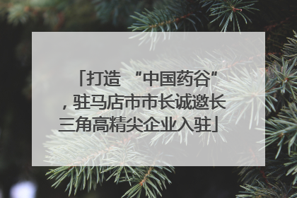 打造 “中国药谷”，驻马店市市长诚邀长三角高精尖企业入驻