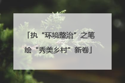 执“环境整治”之笔 绘“秀美乡村”新卷