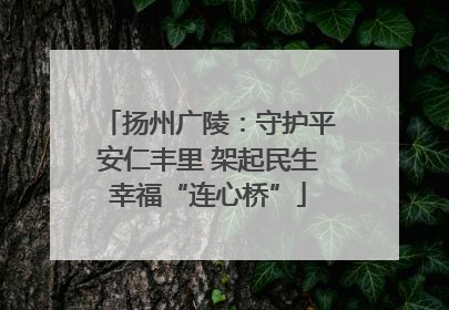 扬州广陵：守护平安仁丰里 架起民生幸福“连心桥”