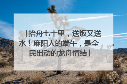 抬舟七十里，送饭又送水！麻阳人的端午，是全民出动的龙舟情结