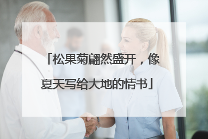 松果菊翩然盛开，像夏天写给大地的情书