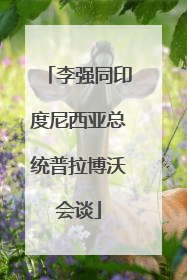 李强同印度尼西亚总统普拉博沃会谈