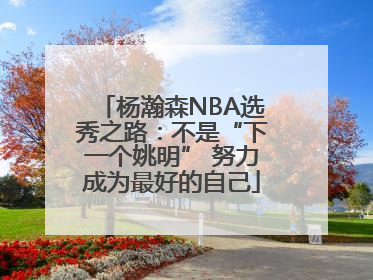 杨瀚森NBA选秀之路：不是“下一个姚明” 努力成为最好的自己
