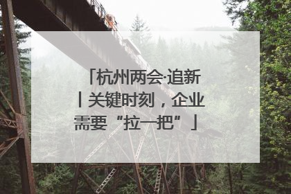 杭州两会·追新丨关键时刻，企业需要“拉一把”