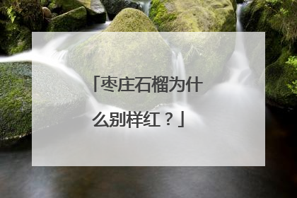 枣庄石榴为什么别样红？