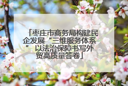 枣庄市商务局构建民企发展“三维服务体系” 以法治保障书写外贸高质量答卷