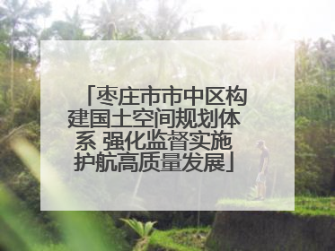 枣庄市市中区构建国土空间规划体系 强化监督实施护航高质量发展