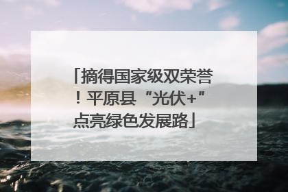 摘得国家级双荣誉！平原县“光伏+”点亮绿色发展路