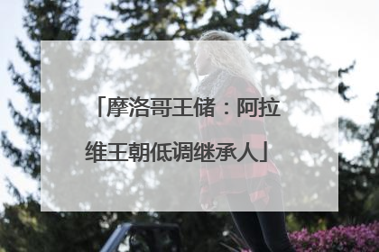 摩洛哥王储：阿拉维王朝低调继承人