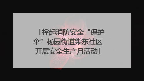 撑起消防安全“保护伞”杨园街道柴东社区开展安全生产月活动