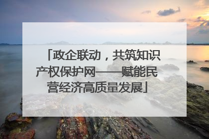 政企联动，共筑知识产权保护网——赋能民营经济高质量发展