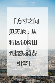 方寸之间见天地：从特区试验田到提振消费引擎