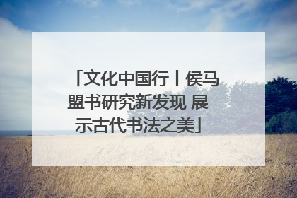 文化中国行丨侯马盟书研究新发现 展示古代书法之美