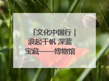 文化中国行｜浪起千帆 深蓝宝藏——博物馆里的海丝遗珍