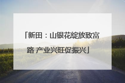 新田：山银花绽放致富路 产业兴旺促振兴