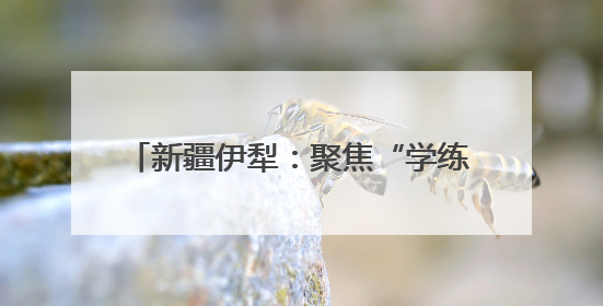 新疆伊犁：聚焦“学练赛”一体化课堂 探索五育协同育人新路径