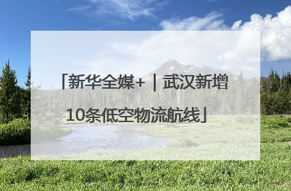 新华全媒+｜武汉新增10条低空物流航线