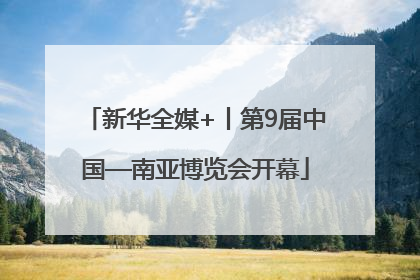 新华全媒+丨第9届中国—南亚博览会开幕
