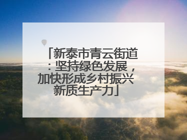 新泰市青云街道：坚持绿色发展，加快形成乡村振兴新质生产力