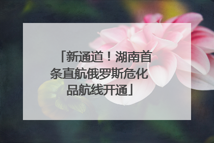 新通道！湖南首条直航俄罗斯危化品航线开通