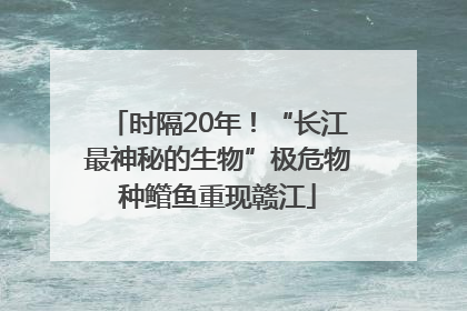 时隔20年！“长江最神秘的生物”极危物种鳤鱼重现赣江