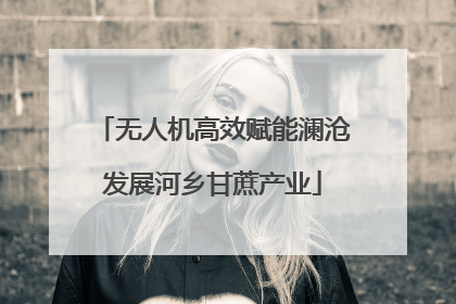 无人机高效赋能澜沧发展河乡甘蔗产业