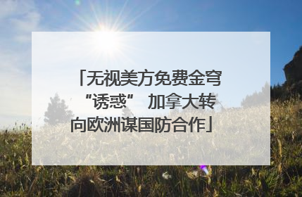 无视美方免费金穹“诱惑” 加拿大转向欧洲谋国防合作