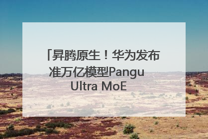 昇腾原生！华为发布准万亿模型Pangu Ultra MoE模型架构和训练细节