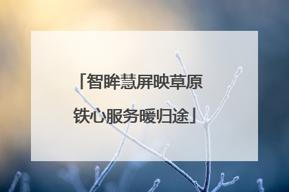智眸慧屏映草原 铁心服务暖归途