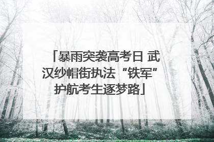 暴雨突袭高考日 武汉纱帽街执法“铁军”护航考生逐梦路