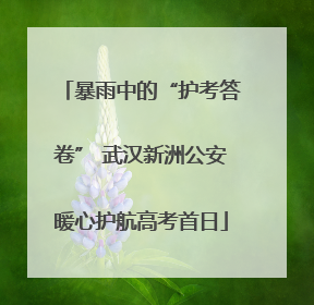 暴雨中的“护考答卷” 武汉新洲公安暖心护航高考首日