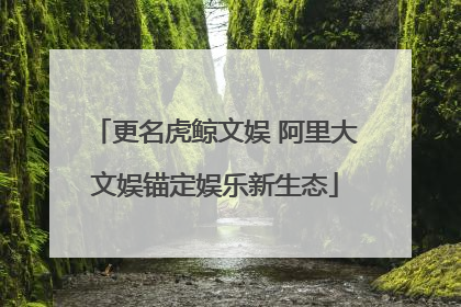 更名虎鲸文娱 阿里大文娱锚定娱乐新生态