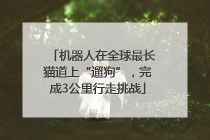机器人在全球最长猫道上“遛狗”，完成3公里行走挑战
