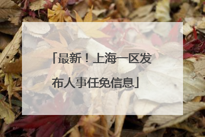 最新！上海一区发布人事任免信息