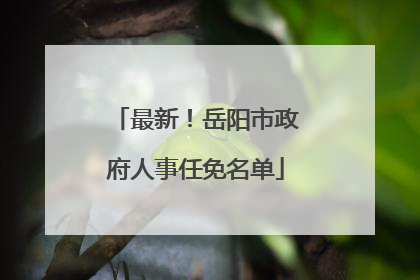 最新！岳阳市政府人事任免名单
