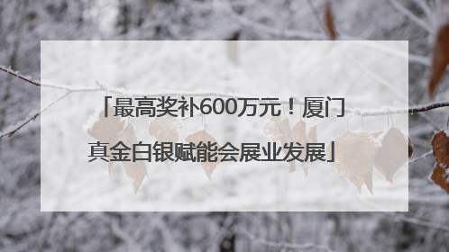 最高奖补600万元！厦门真金白银赋能会展业发展
