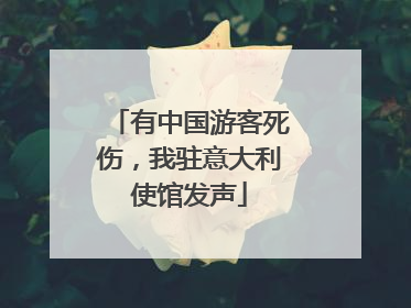 有中国游客死伤，我驻意大利使馆发声