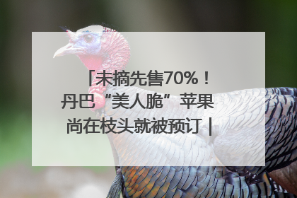 未摘先售70%！丹巴“美人脆”苹果尚在枝头就被预订｜长征路上看四川