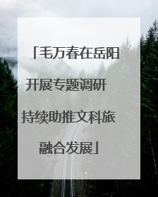 毛万春在岳阳开展专题调研 持续助推文科旅融合发展