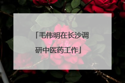 毛伟明在长沙调研中医药工作