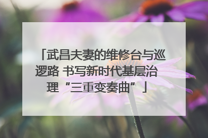 武昌夫妻的维修台与巡逻路 书写新时代基层治理“三重变奏曲”