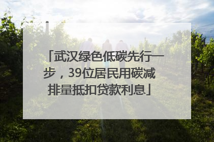 武汉绿色低碳先行一步，39位居民用碳减排量抵扣贷款利息
