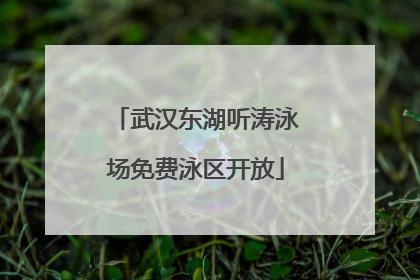 武汉东湖听涛泳场免费泳区开放